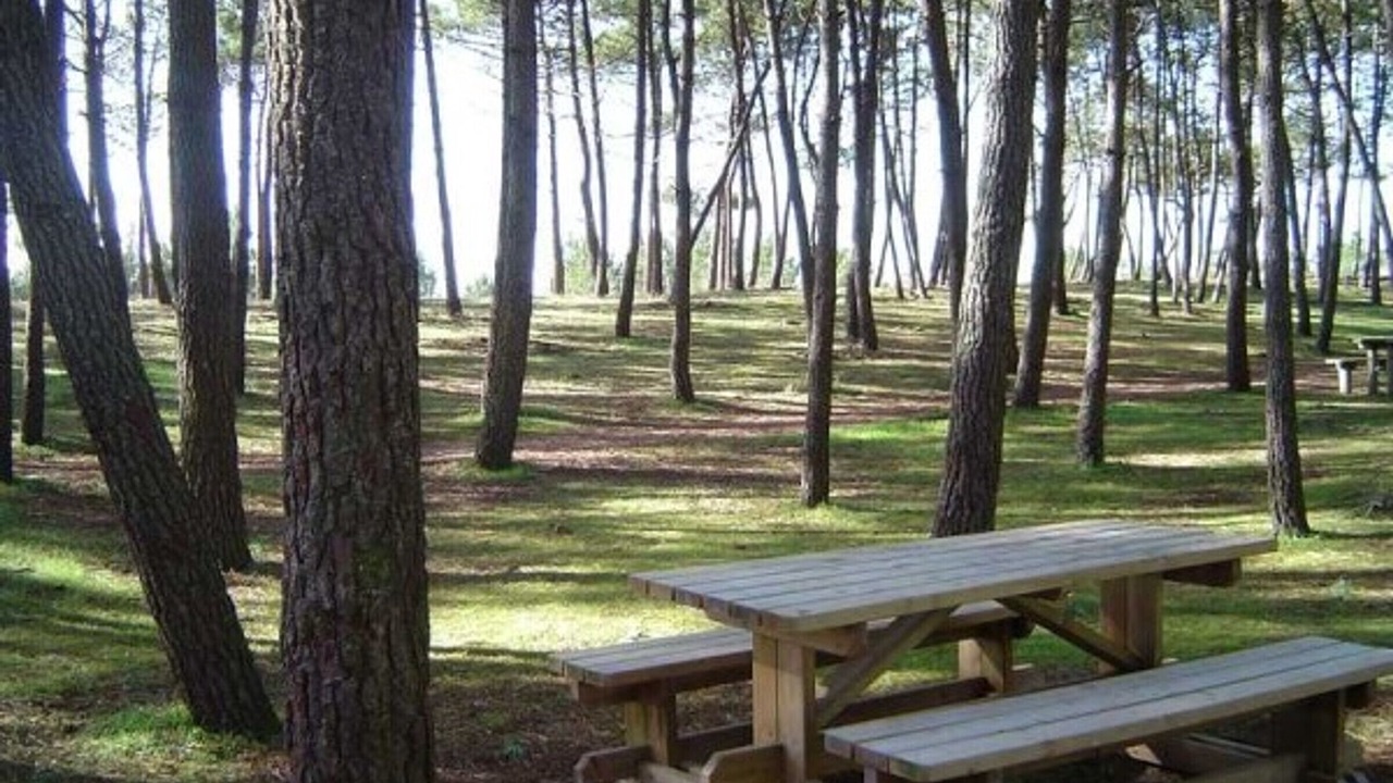 Photo of Outdoor in La Faute-sur-Mer
