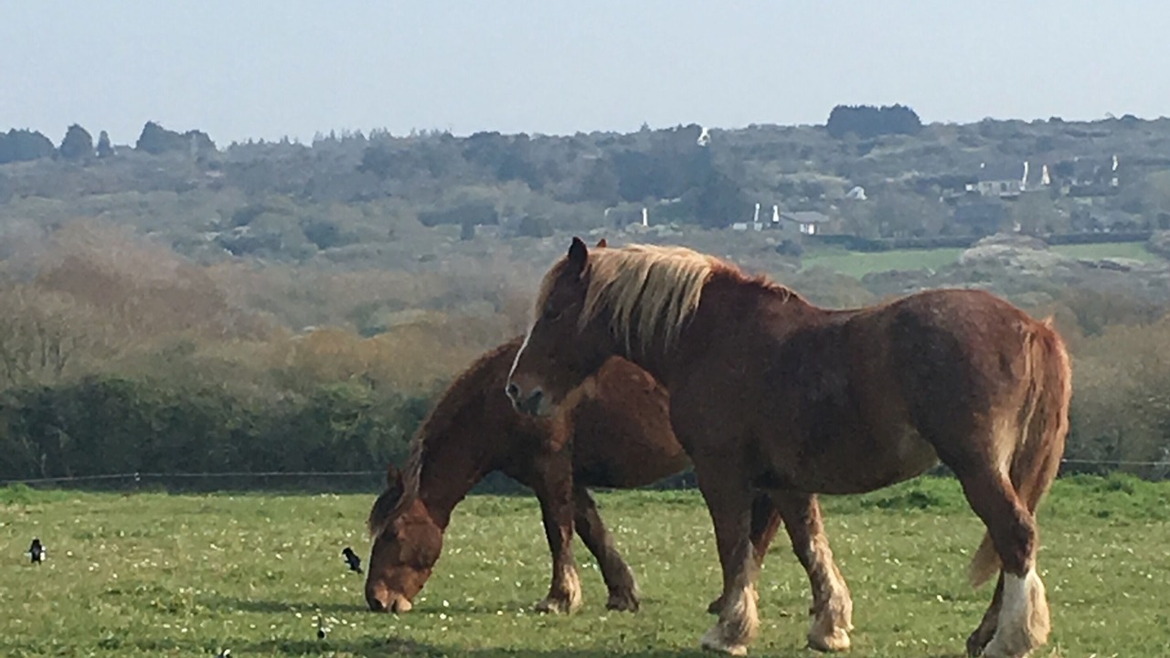 Photo of Others in Morgat