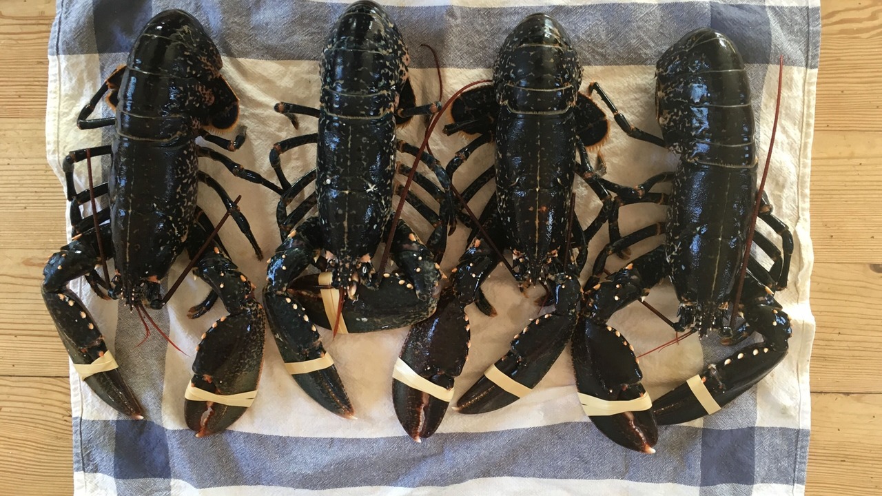 Photo of Others in Morgat