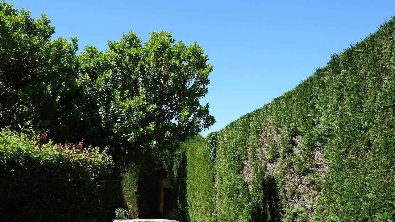 Photo of Outdoor in Proissans