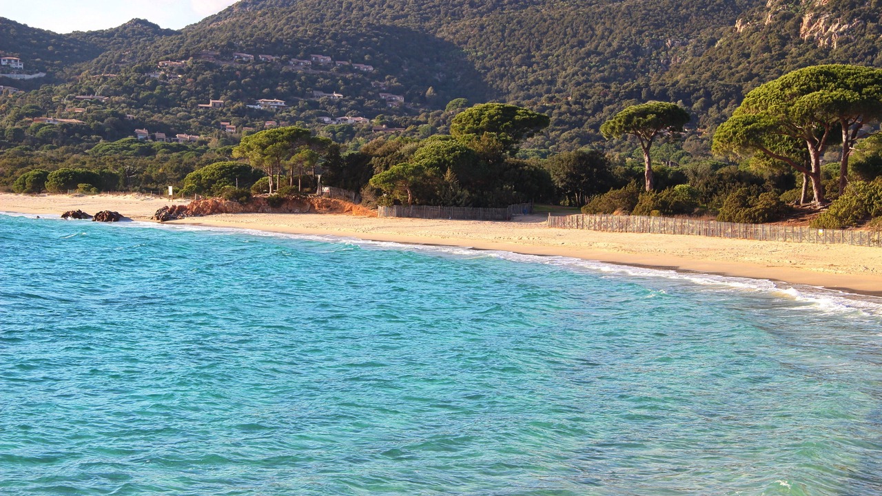 Photo of Others in Porto-Vecchio