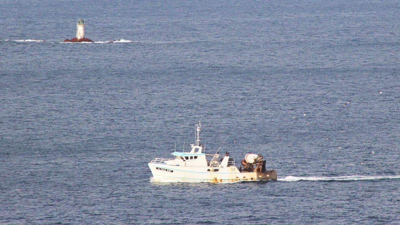 Photo of Others in Porto-Vecchio