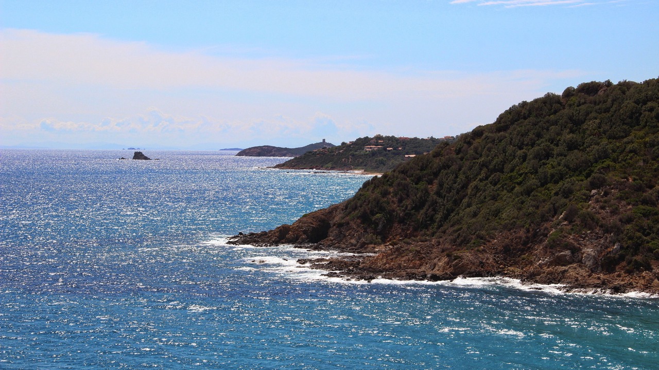 Photo of Others in Porto-Vecchio