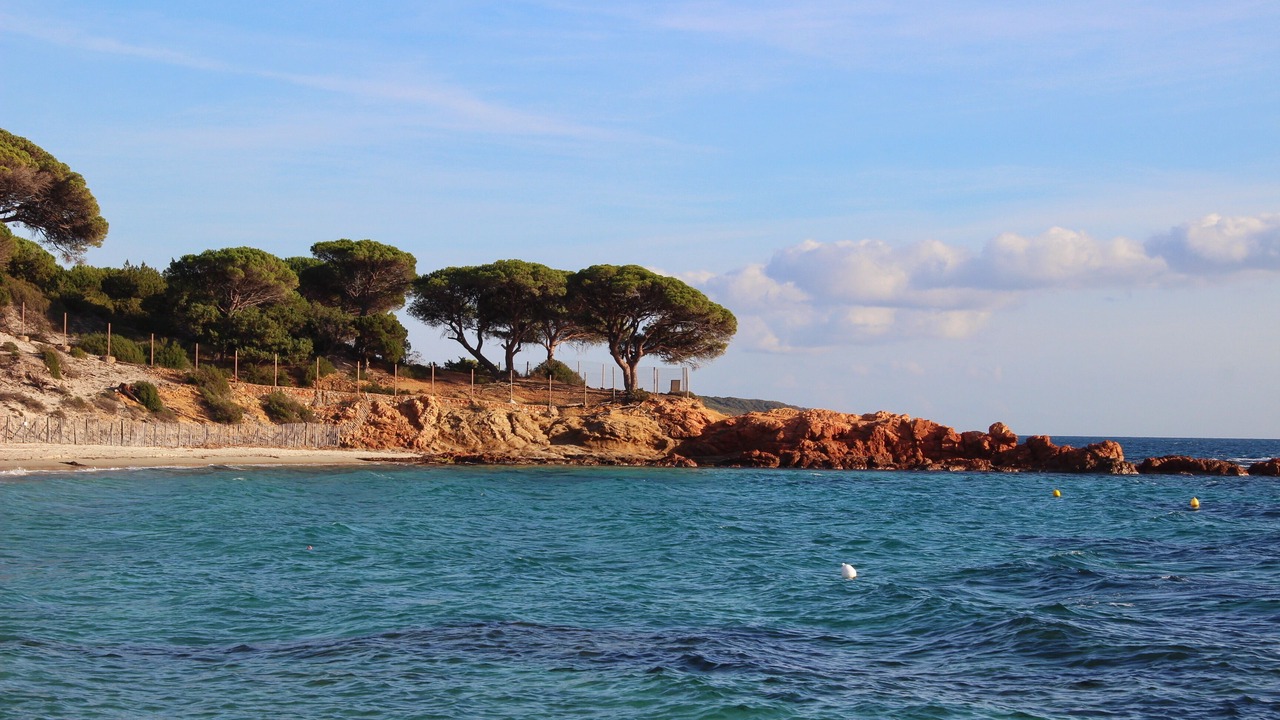 Photo of Others in Porto-Vecchio