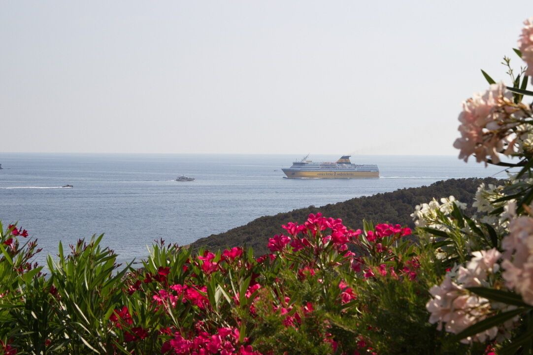 Photo of Others in Porto-Vecchio