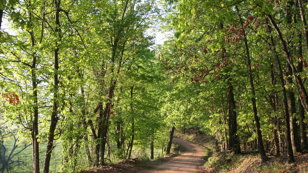 Photo of Others in Huntsville