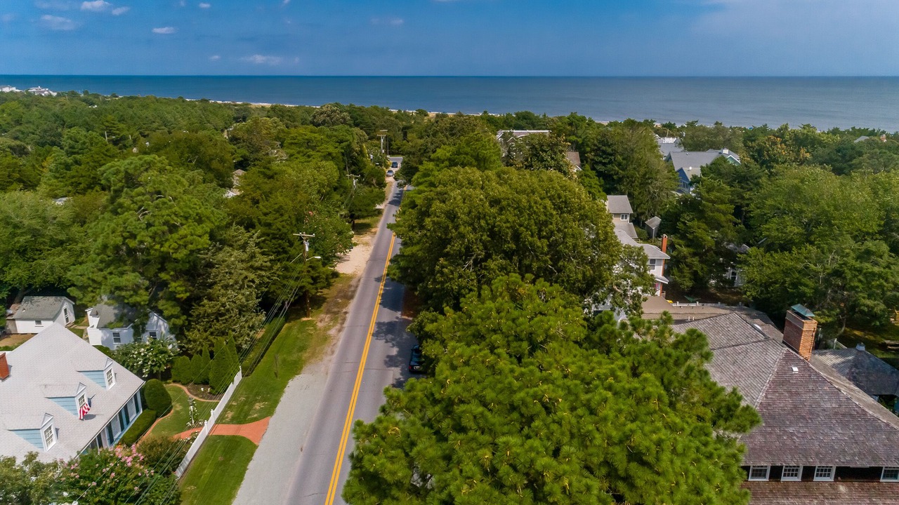 Photo of Others in The Pines