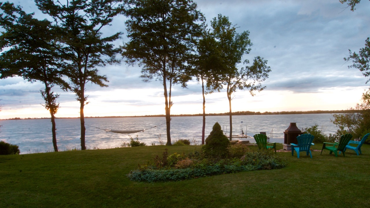 Photo of Others in Picton