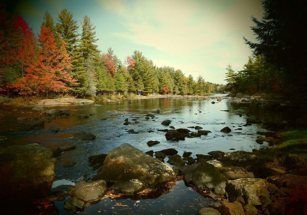 Photo of Others in Town of Diana