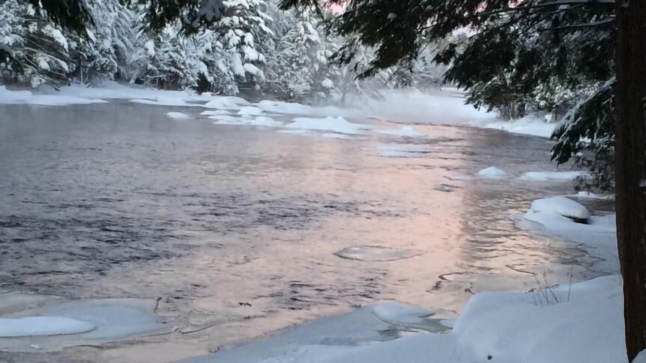 Photo of Others in Town of Diana