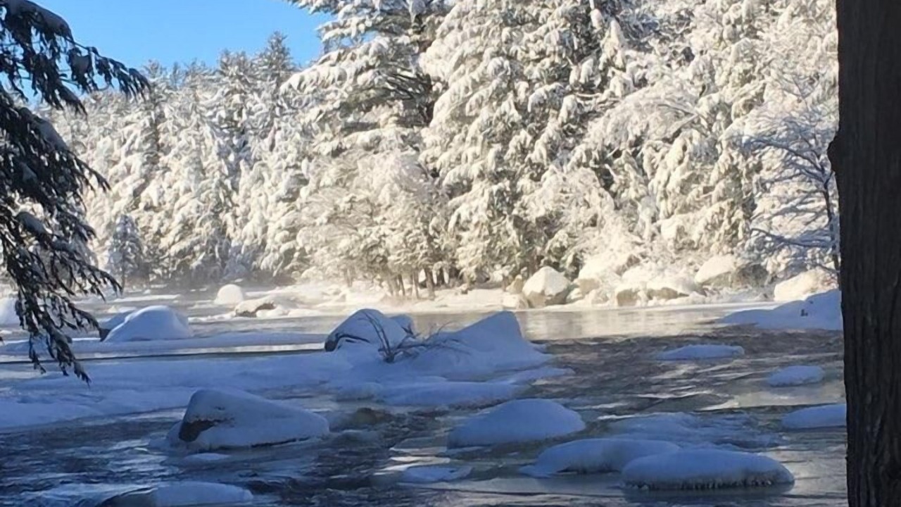 Photo of Others in Town of Diana