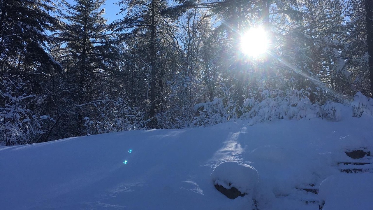 Photo of Outdoor in Town of Diana