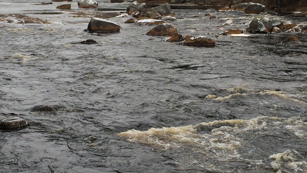 Photo of Others in Town of Diana