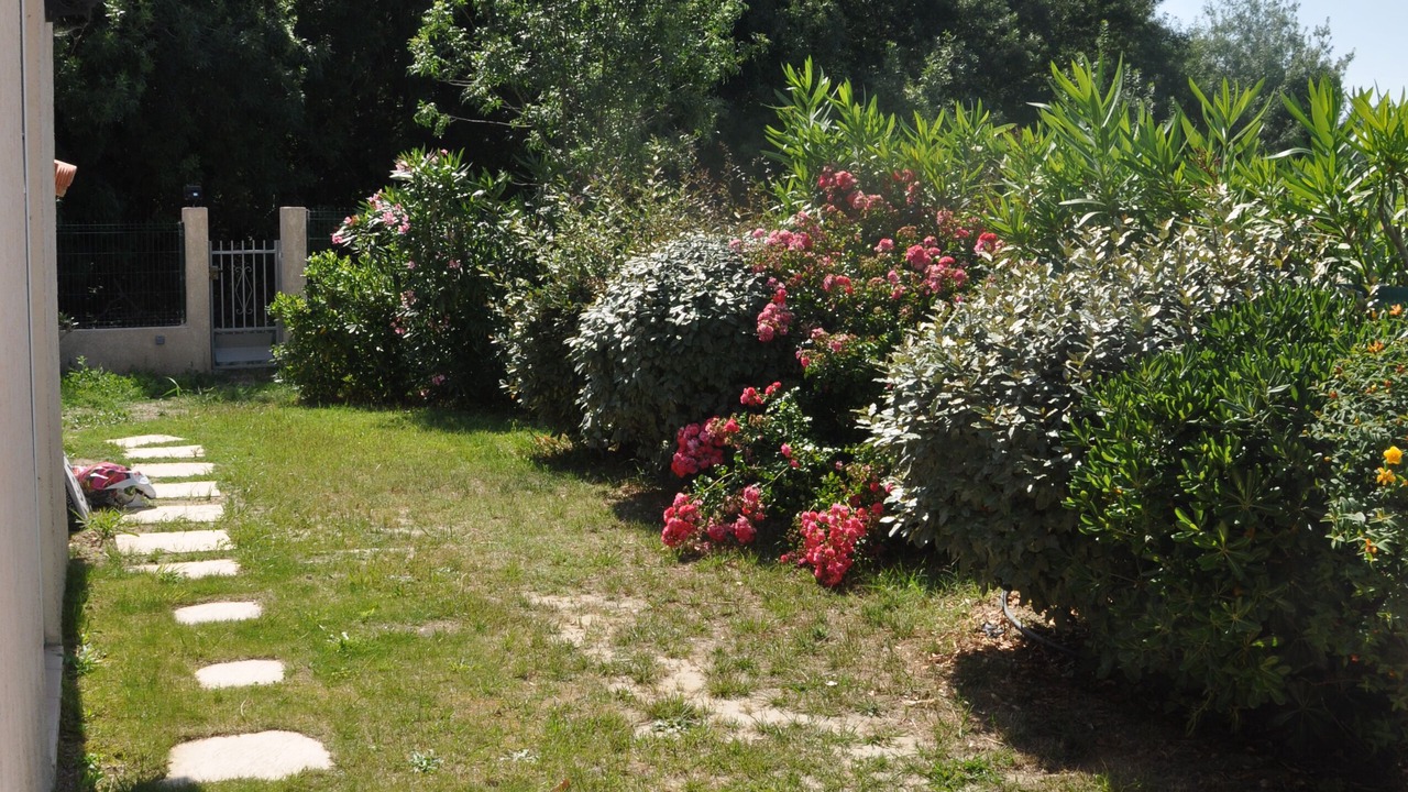 Photo of Outdoor in Plage d'Argeles