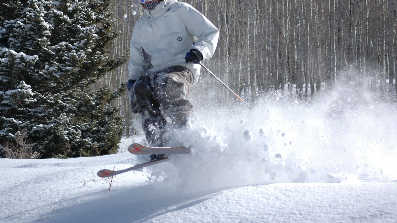 Photo of Others in North Park City