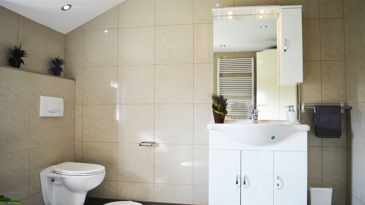 Photo of Bathroom in Benkovac