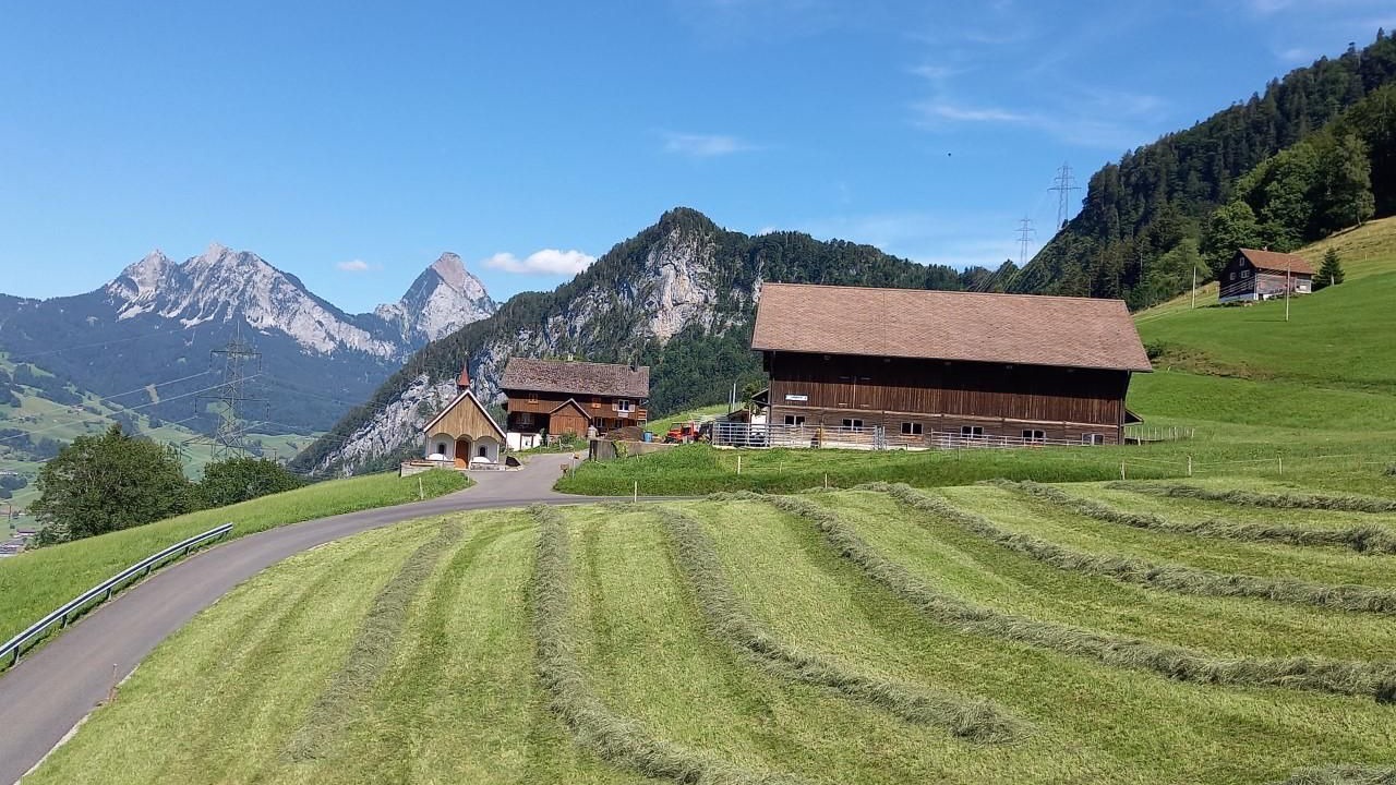 Photo of Others in Lauerz