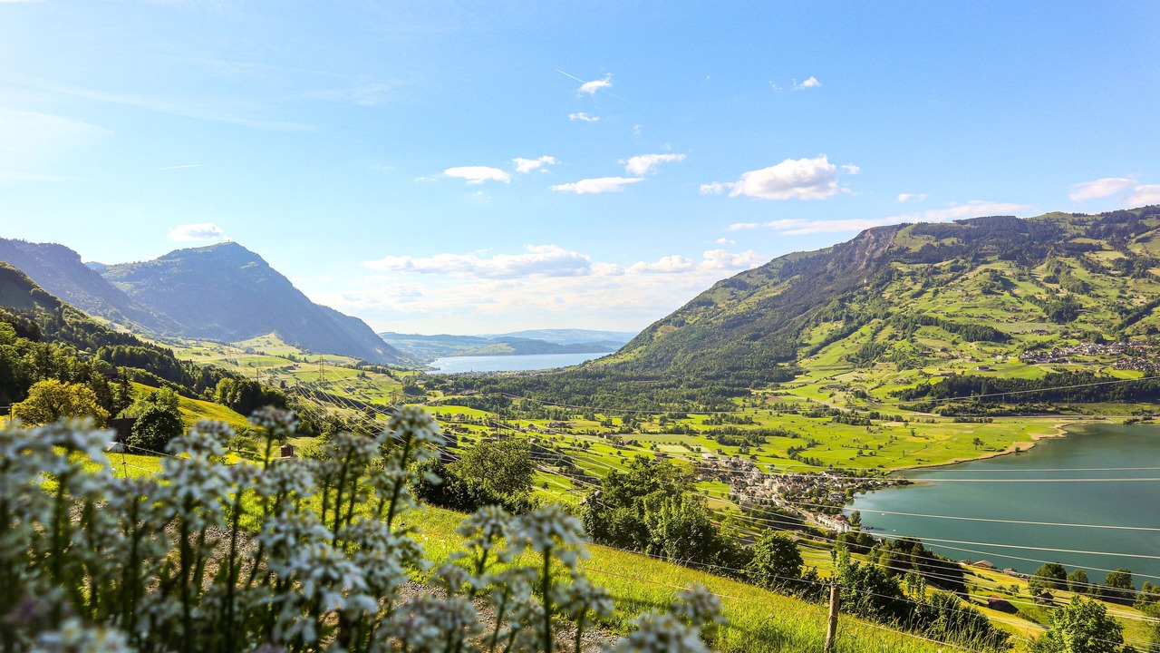 Photo of Others in Lauerz