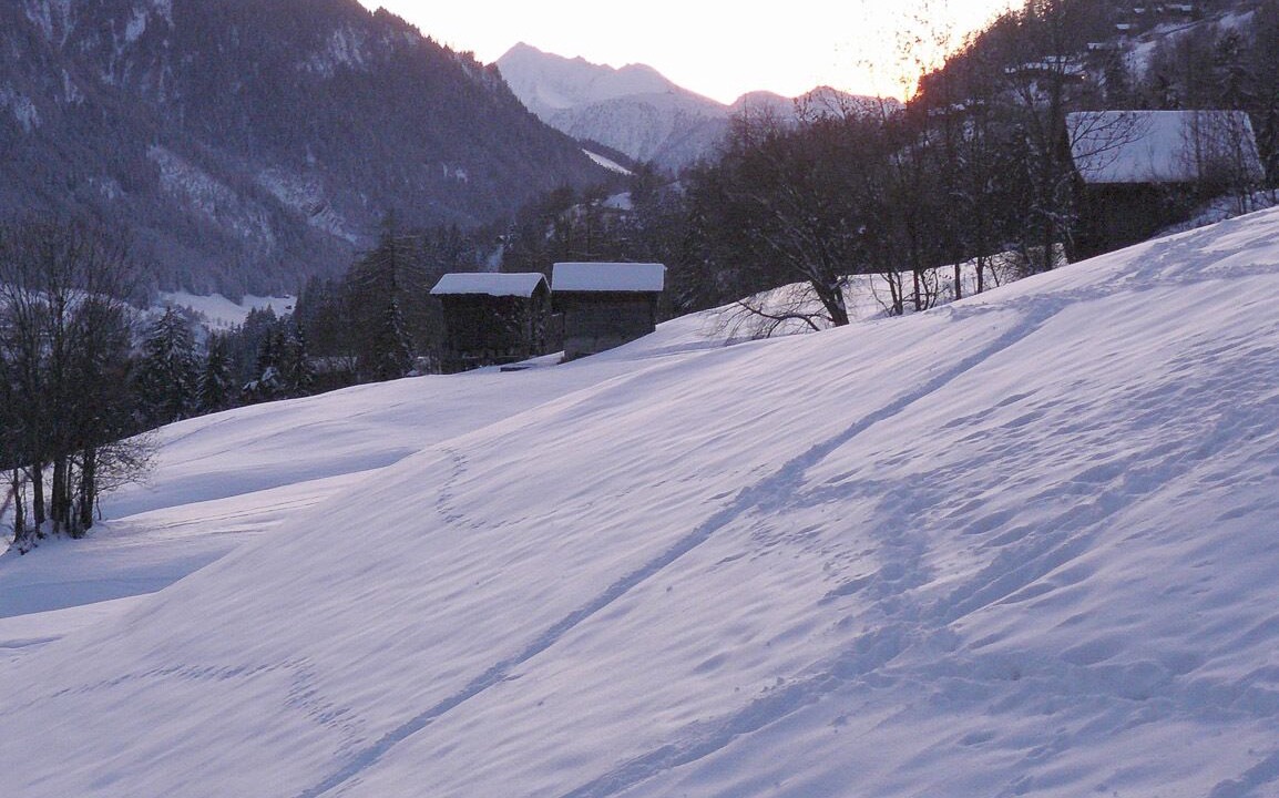 Photo of Others in Fiesch