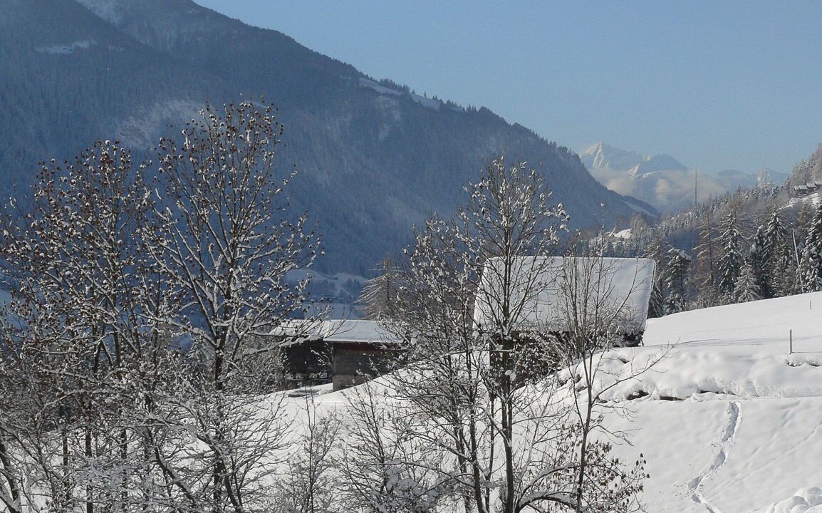 Photo of Others in Fiesch