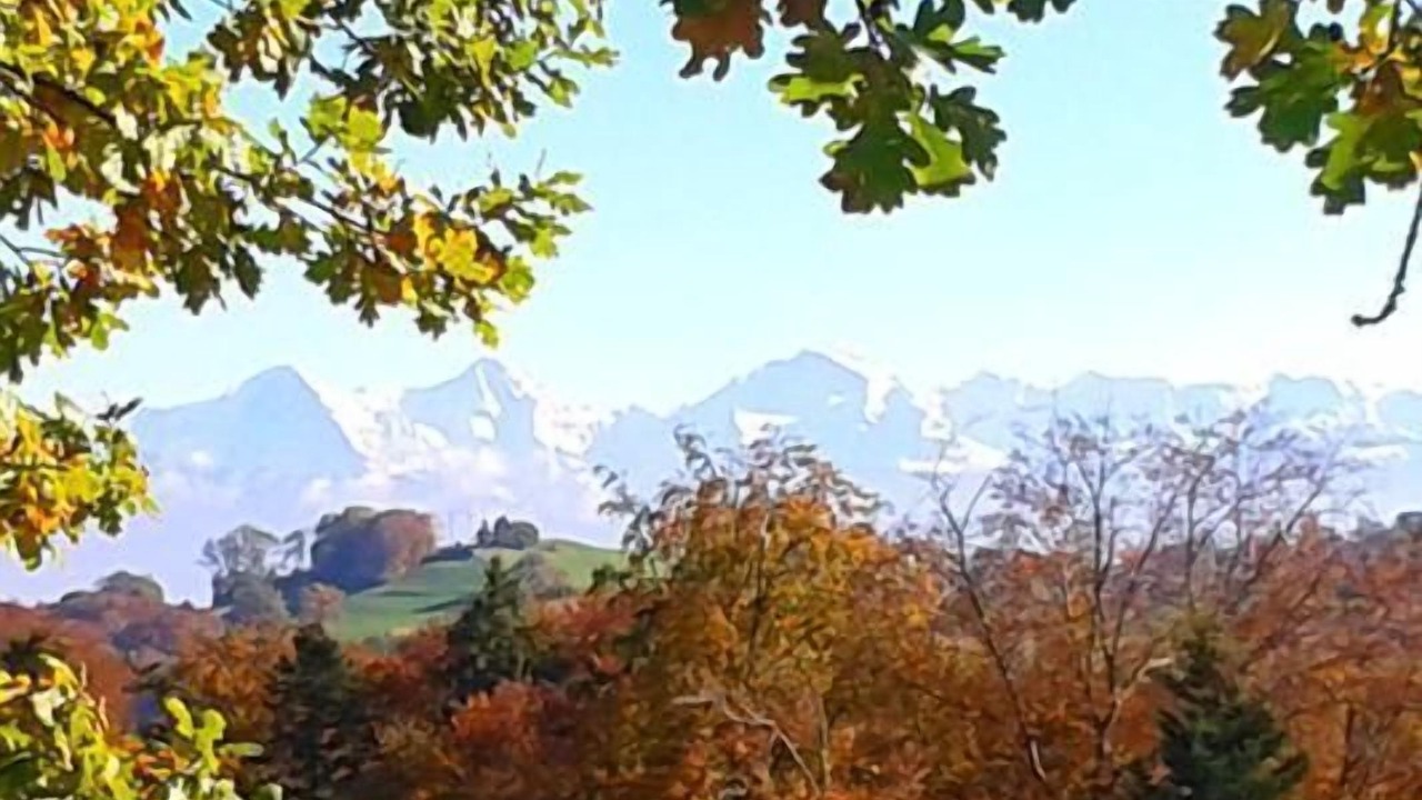 Photo of Others in Zimmerwald