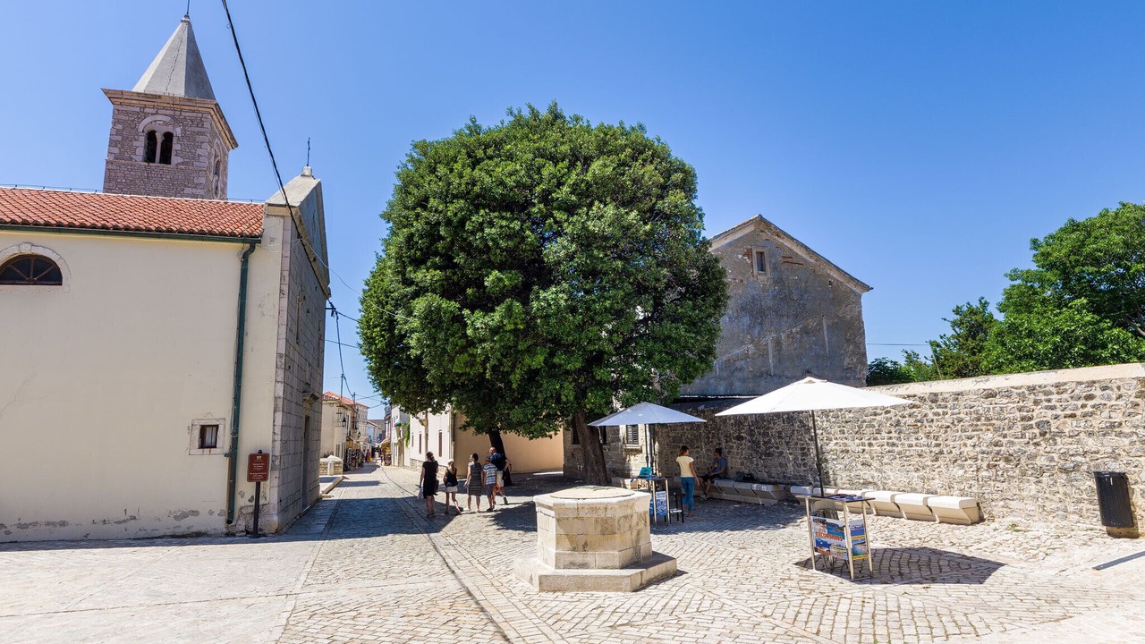 Photo of Outdoor in Nin