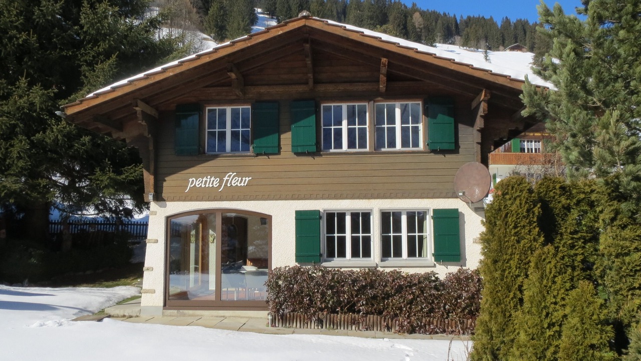 Photo of Outdoor in Adelboden