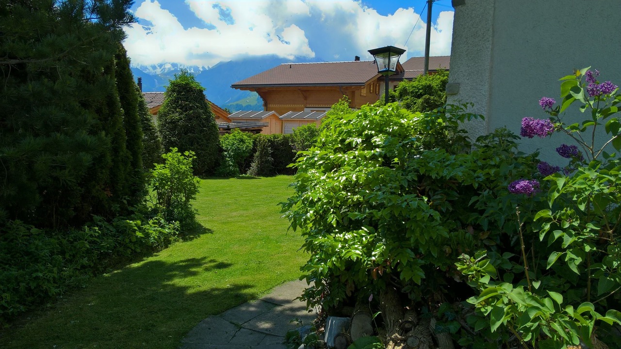 Photo of Outdoor in Adelboden