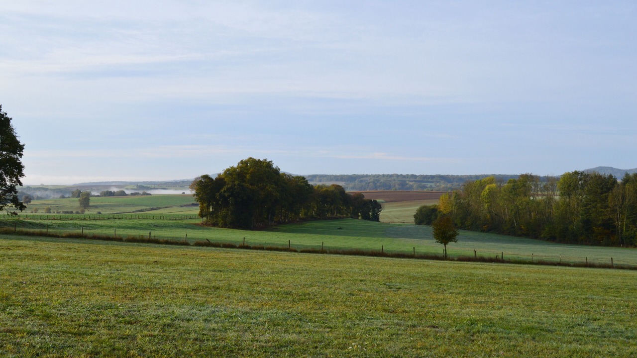 Photo of Others in Tignecourt