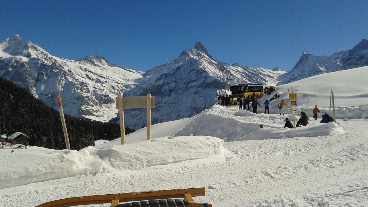 Photo of Others in Grindelwald