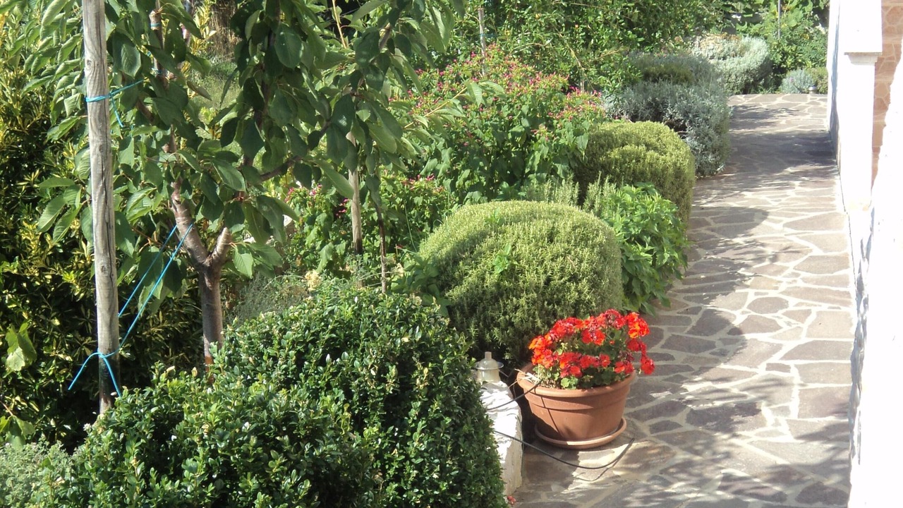 Photo of Outdoor in Biograd na Moru