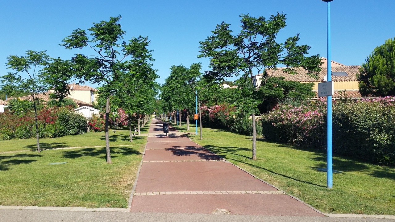 Photo of Outdoor in Foulquines