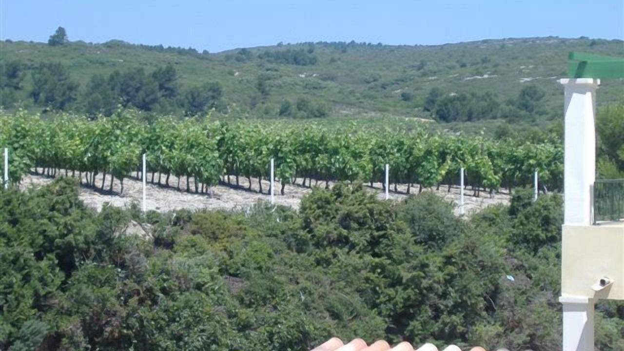 Photo of Others in Foulquines
