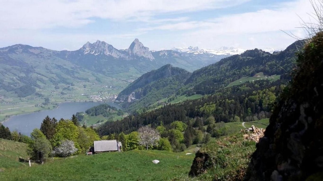 Photo of Others in Lauerz