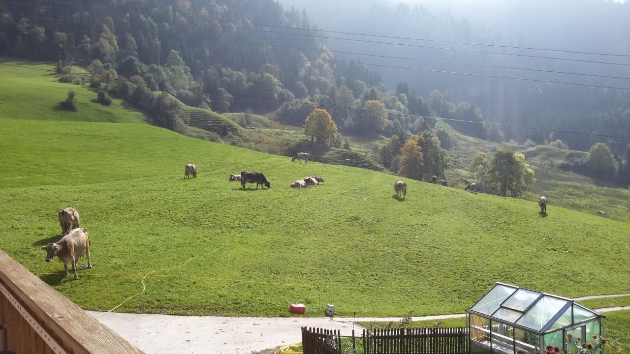 Photo of Others in Escholzmatt