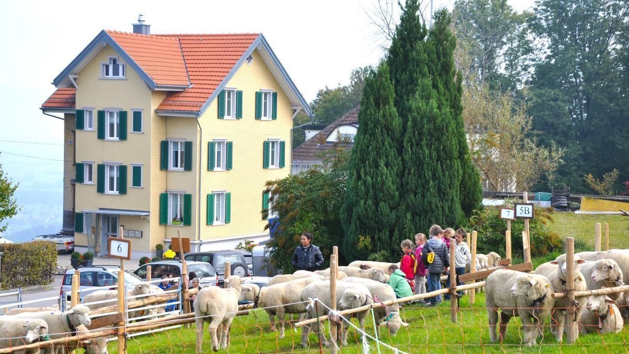 Photo of Others in Wolfhalden