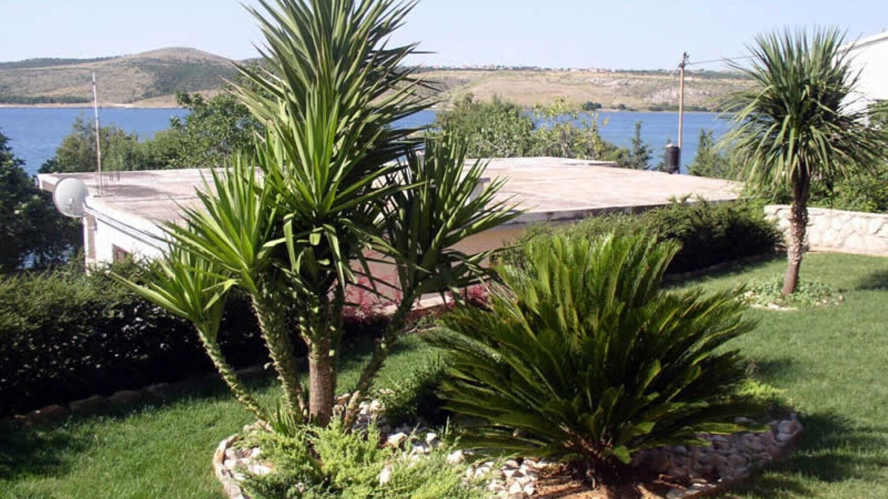 Photo of Outdoor in Posedarje