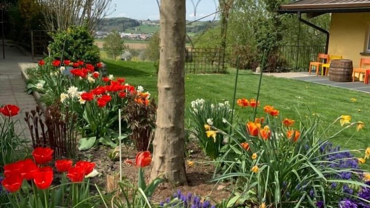 Photo of Others in Hauptwil-Gottshaus