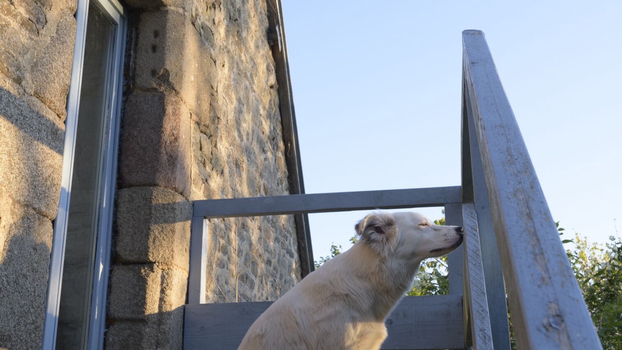 Photo of Outdoor in Le Mesnil-Tove