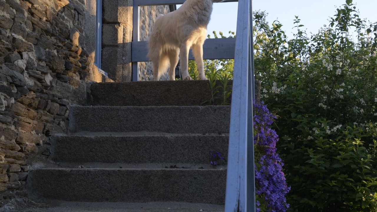 Photo of Outdoor in Le Mesnil-Tove