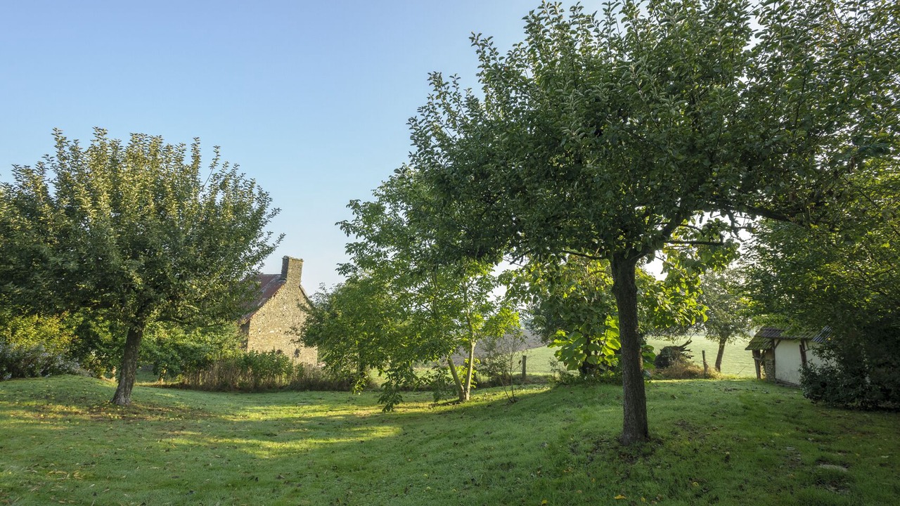 Photo of Outdoor in Le Mesnil-Tove