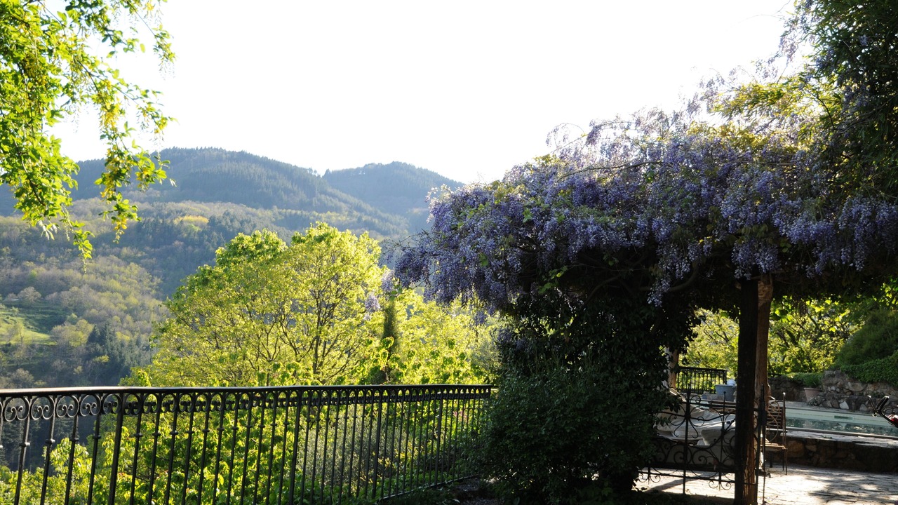Photo of Outdoor in Lentilleres
