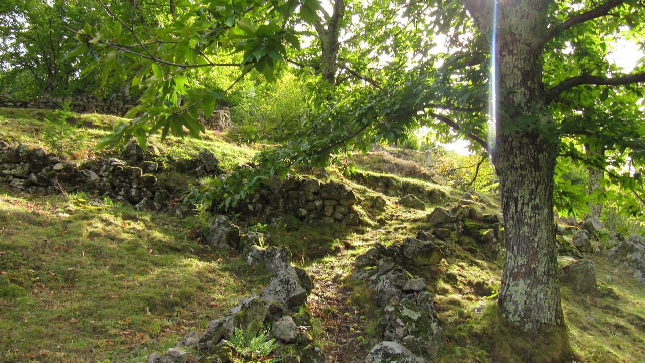 Photo of Outdoor in Lentilleres