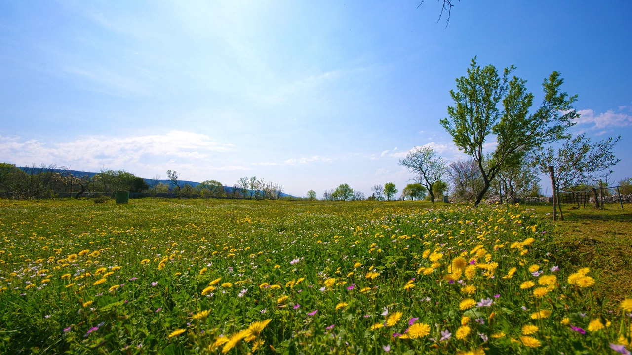Photo of Outdoor in Brgod