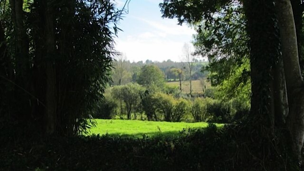 Photo of Outdoor in Percy-en-Normandie