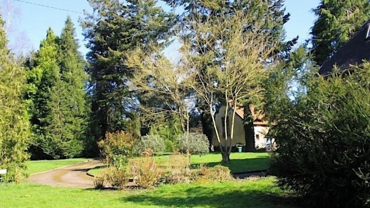 Photo of Outdoor in Percy-en-Normandie