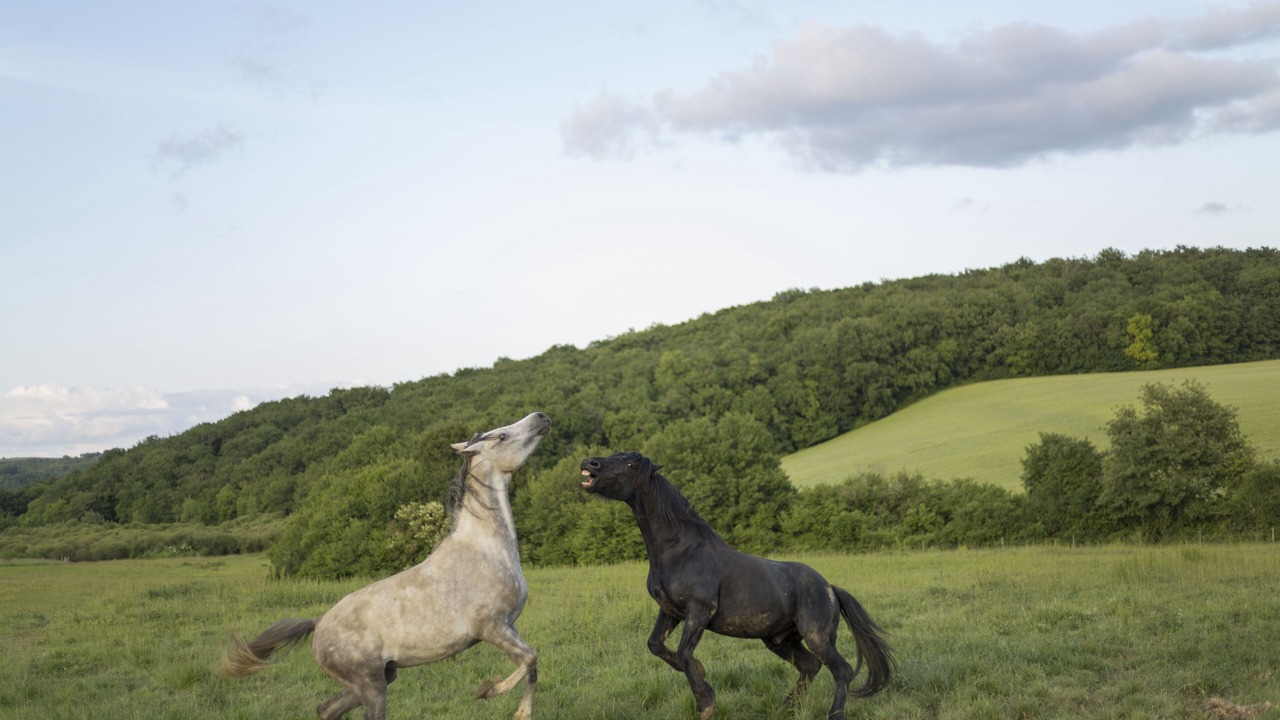 Photo of Outdoor in Biran