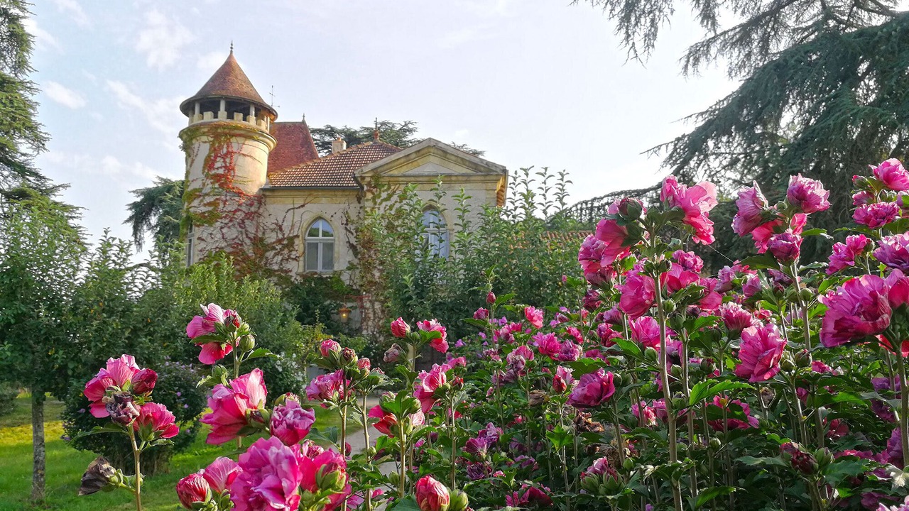 Photo of Outdoor in Biran