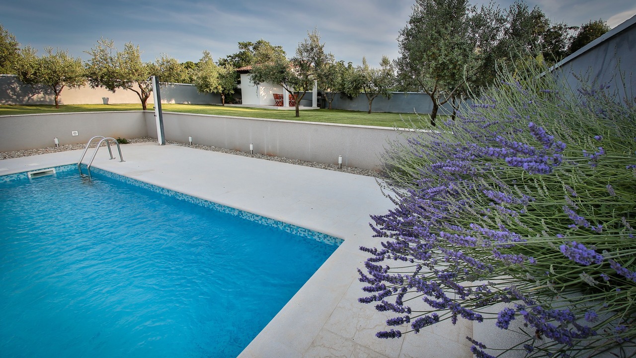 Photo of Outdoor in Valbandon