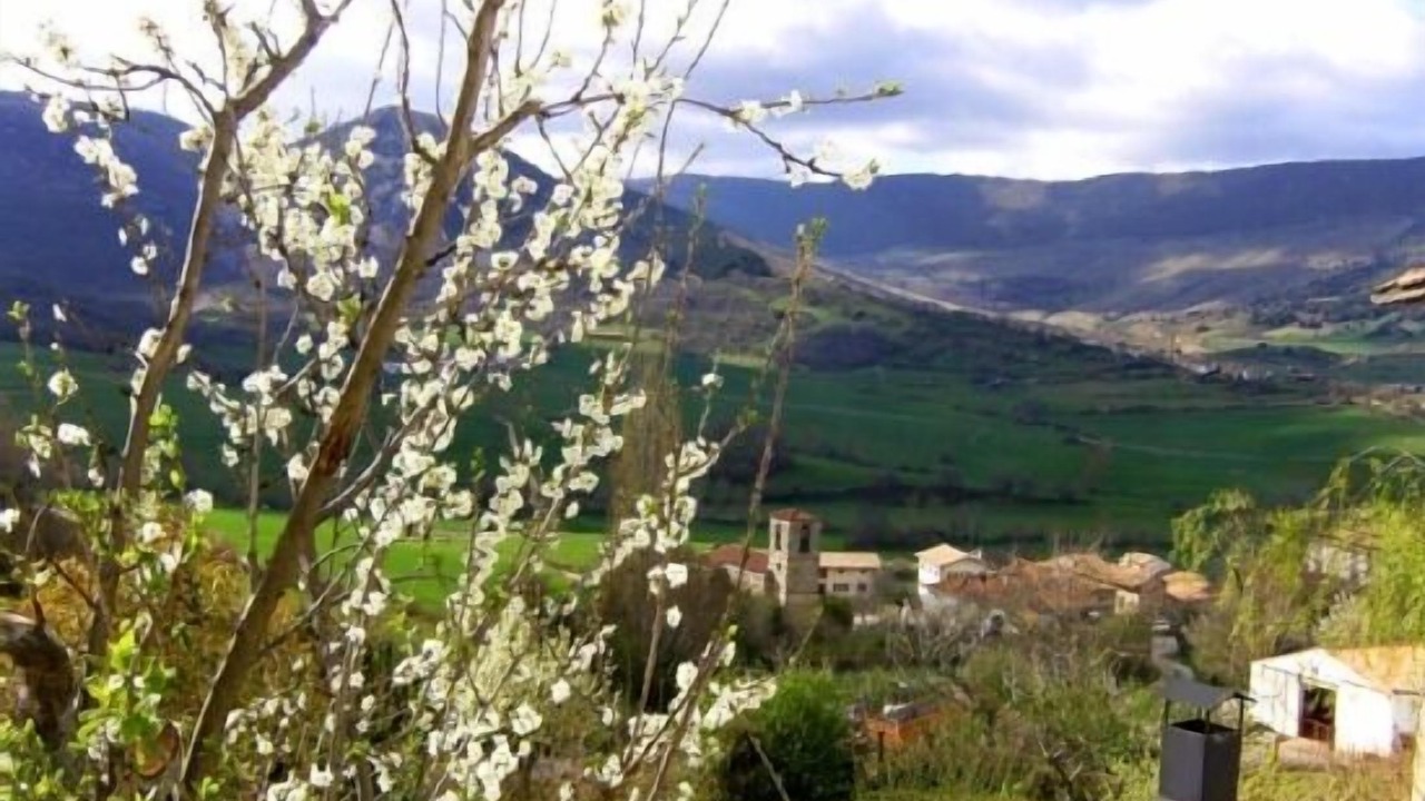Photo of Outdoor in Ollo